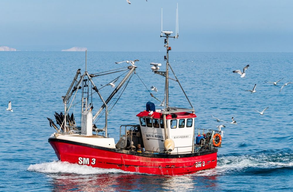 Kildin Finnmark: Et nytt perspektiv på marine ressurser